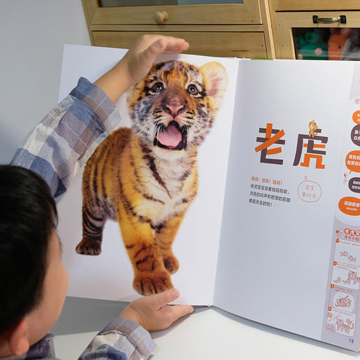 震撼之书·动物原来这么大 第壹辑(4册套装)随机送帆布袋 商品图5