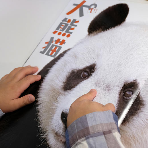 震撼之书·动物原来这么大 第壹辑(4册套装)随机送帆布袋 商品图6