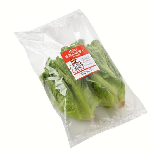 放心奶油生菜 约250g/袋 商品图4