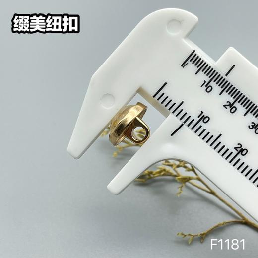 F1181(整包购买) 商品图8