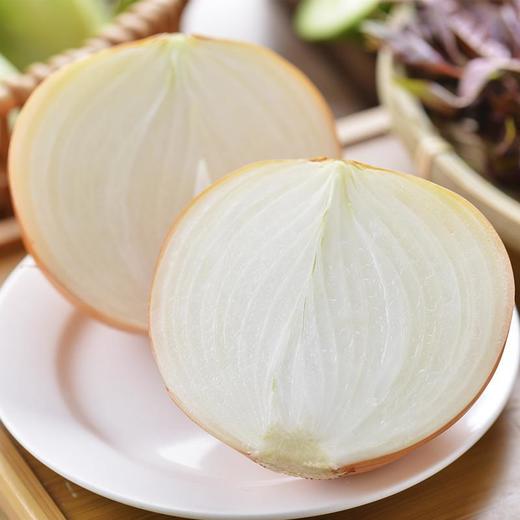 放心黄洋葱 约250g/份 商品图1