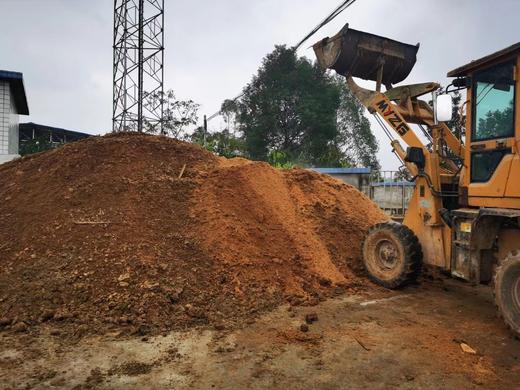 有机春见耙耙柑｜现摘先发｜顺丰空运｜10号首摘 商品图9