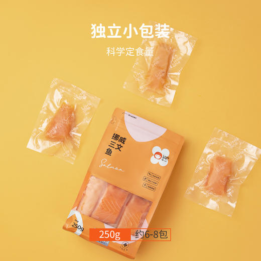 littleone萌小丸挪威进口三文鱼新鲜婴儿宝宝辅食中段冷冻三文鱼 商品图2