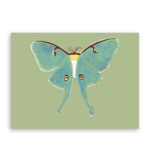 light on『美人』｜A4插画 商品图0