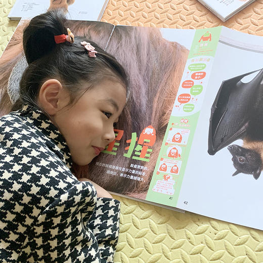 震撼之书·动物原来这么大 第壹辑(4册套装)随机送帆布袋 商品图3