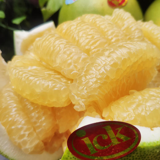 脆爽多汁【泰国“ICK牌”白糖柚】“精品大果” 2只/4.8-5斤/份 商品图3