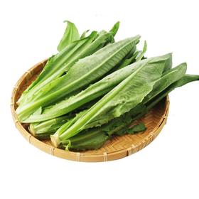 放心油麦菜 约300g/袋 安全安心可追溯 伊藤自有品牌