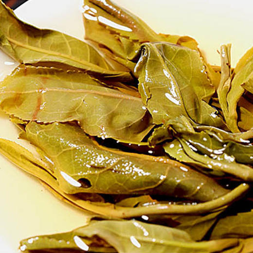 普洱生茶丨洪海 2019年 景迈大树 357g/饼 商品图3