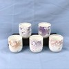 日本宇野千代五色樱花纹茶杯 5枚装 原盒保留 实物见视频 商品缩略图0