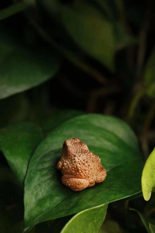 老山檀香【呱呱来财】 商品图2