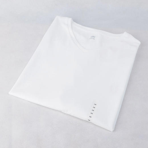 美式休闲 简约百搭 胸前小马标 纯棉V领短袖T恤 加肥加大 特惠 PT-49 商品图2