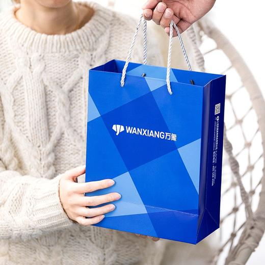 康巴赫生活馆万象玻璃杯双层泡茶水杯女士保温杯茶漏茶杯子商务办公杯泡茶杯茶水分离杯礼盒装保温保冷杯H72+V176 商品图1