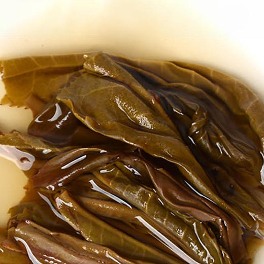 普洱生茶丨洪海 2019年 倚邦大树 357g/饼 商品图4