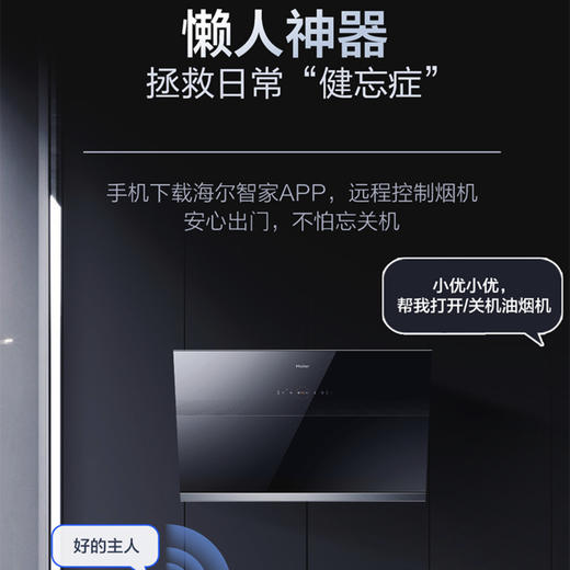 海尔（Haier）烟机CXW-219-TM20CU1 商品图8