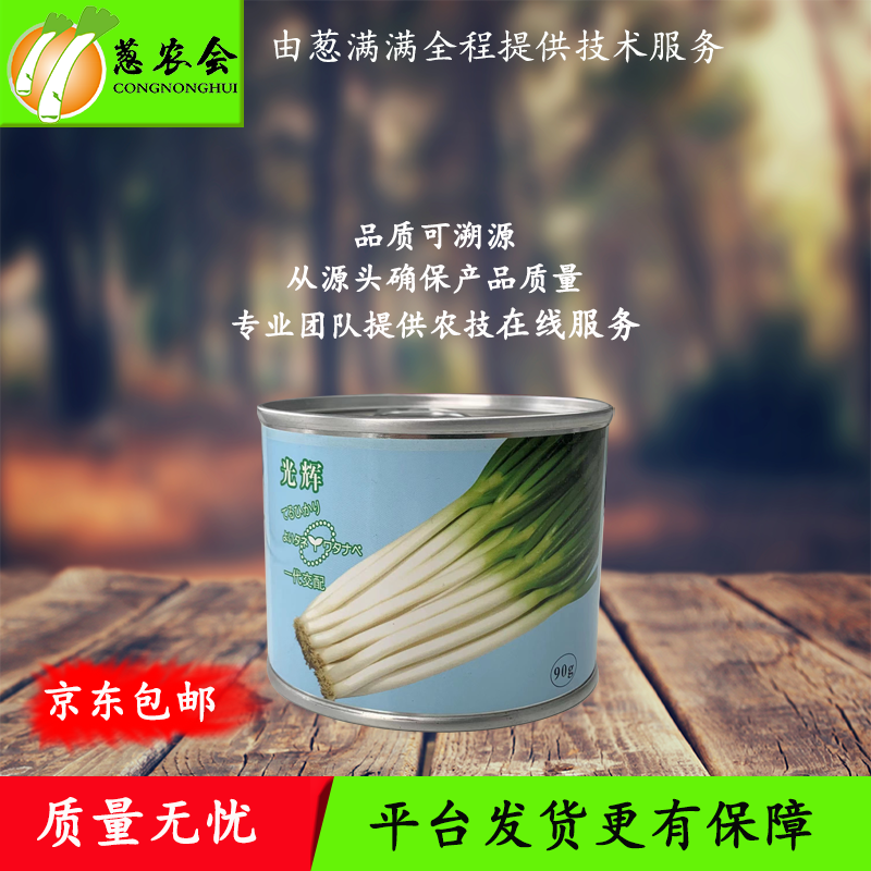 【种子】日本进口【光辉】一代杂交钢葱 耐抽薹 返青快 高产潜力大