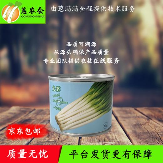 【种子】日本进口【光辉】一代杂交钢葱 耐抽薹 返青快 高产潜力大 商品图0