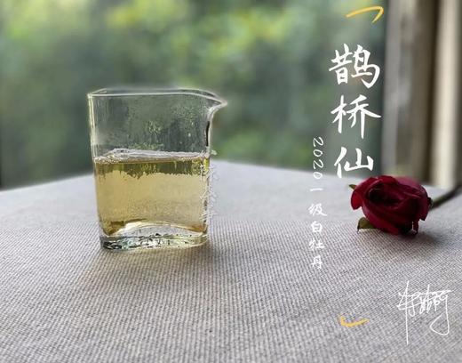 村姑陈囤货推荐：2020一级白牡丹《鹊桥仙》（4斤收藏装） 商品图5