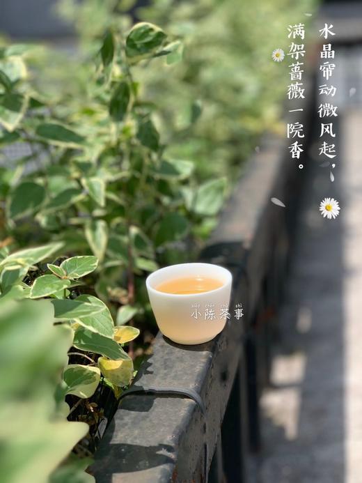 村姑陈囤货推荐：浓郁栀子花香的2018一级春寿眉（4斤收藏装） 商品图6