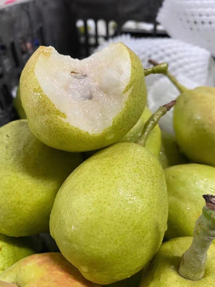 【库尔勒子母香梨】香甜酥脆一箱【现货配送】