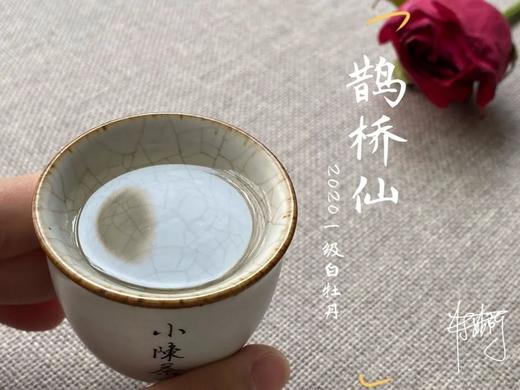 村姑陈囤货推荐：2020一级白牡丹《鹊桥仙》（4斤收藏装） 商品图7