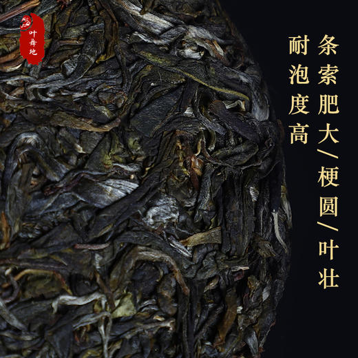普洱生茶丨叶舞地 2020年 小户赛 200g/饼 商品图2