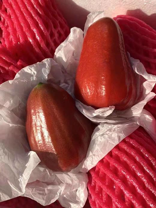 红夫人商城 海南空运 黑金刚莲雾 整箱当季一级大果3斤孕妇水果 商品图3