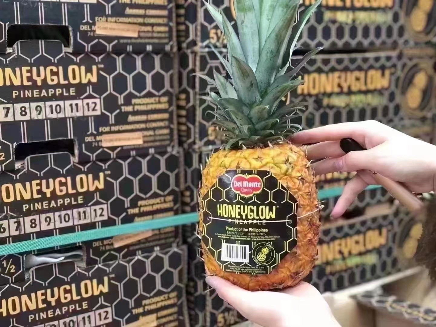 菲律宾地门黑钻凤梨