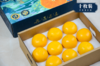 【严选】云南奔象果业-苞茅10枚精品果高端礼盒装（厂家直发） 商品缩略图1