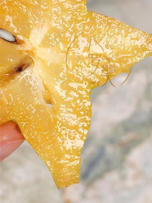 【有机树熟 杨桃】颠覆你对杨桃的认知都是金黄的颜色，口感甜度水份超出你的想象。 商品图3