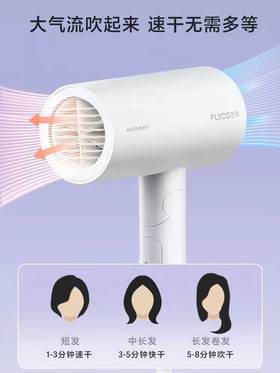 飞科电吹风机家用宿舍负离子护发大功率轻音网红吹风筒FH6276