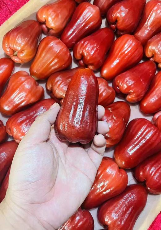 红夫人商城 海南空运 黑金刚莲雾 整箱当季一级大果3斤孕妇水果 商品图4