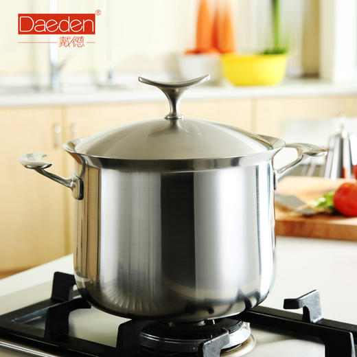 德国戴德18/10不锈钢双耳汤锅DD022 5层钢 砂面炖锅 德式厨具22cm 商品图0