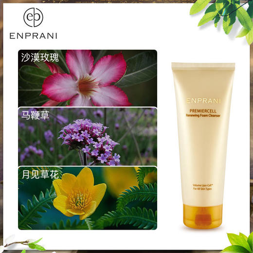 茵葩兰韩国原装进口至美恒颜泡沫洁面乳170ml 商品图2