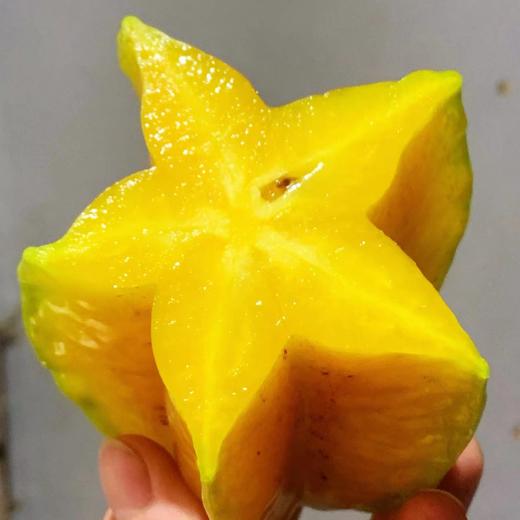 【有机树熟 杨桃】颠覆你对杨桃的认知都是金黄的颜色，口感甜度水份超出你的想象。 商品图0