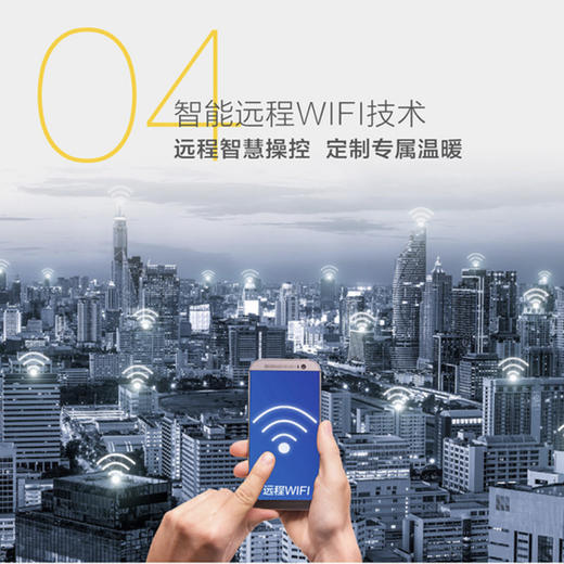 海尔（Haier）壁挂炉L1PB42-HC5(T) 商品图5