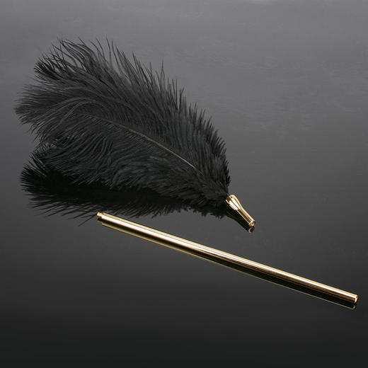 MISSFUN丽娜 SM调情羽毛挑逗棒 商品图5