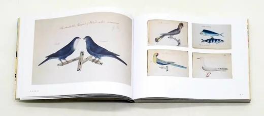 《航海家的笔记本》，12开精装，[英]休.刘易斯.琼斯著，中国画报出版社2019年版，定价160，售价68元，非偏远地区包邮。 商品图10