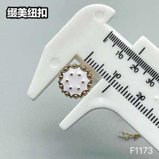 F1173(整包购买) 商品图6