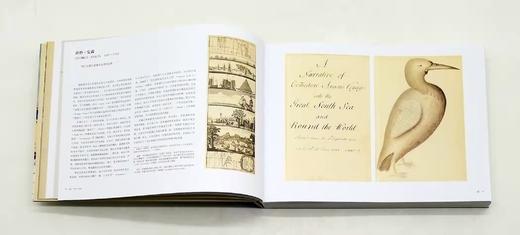 《航海家的笔记本》，12开精装，[英]休.刘易斯.琼斯著，中国画报出版社2019年版，定价160，售价68元，非偏远地区包邮。 商品图5