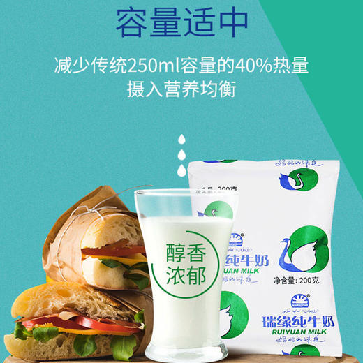 s   瑞缘利乐枕纯牛奶200g*20袋 商品图1