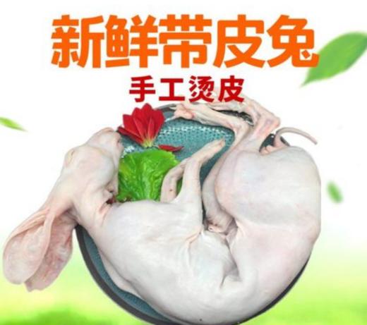 601兔肉 1斤半 鲜宰活兔（不砍件，要砍件请留言） 商品图0