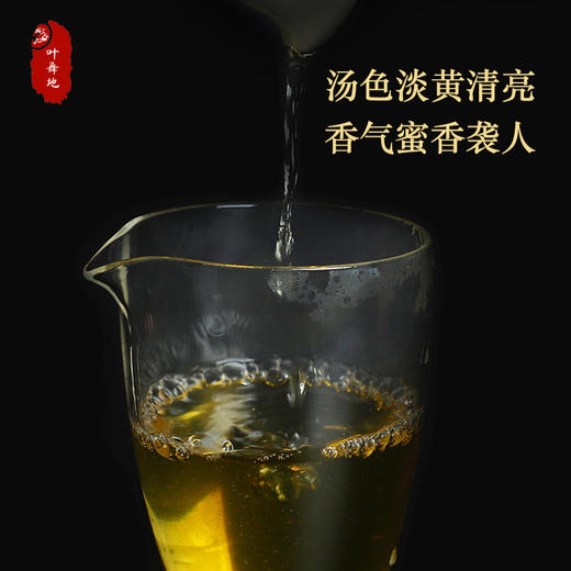 普洱生茶丨叶舞地 2020年 小户赛 200g/饼 商品图3