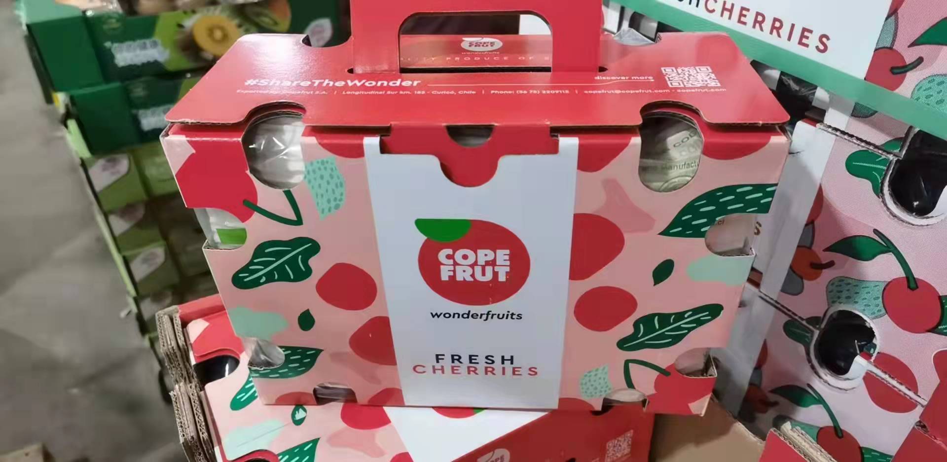 新鲜水果-智利 拉宾斯车厘子二合一3j 整箱5斤装【sp】