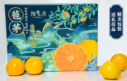 【严选】云南奔象果业-苞茅10枚精品果高端礼盒装（厂家直发） 商品图0