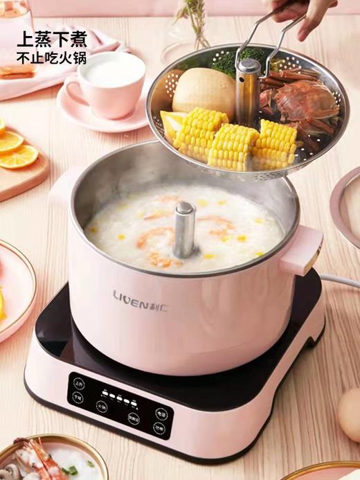 利仁升降电火锅DHG-SJ251 商品图1