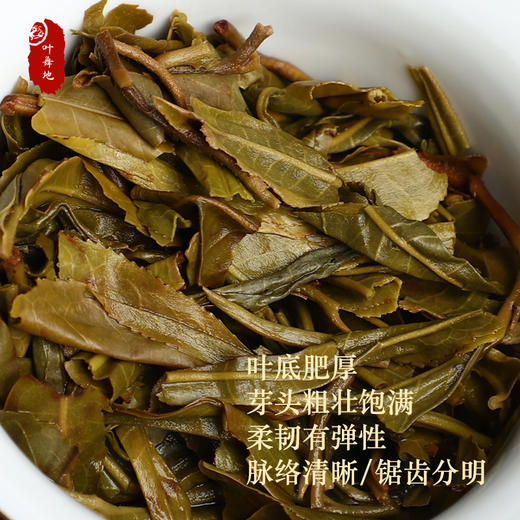 普洱生茶丨叶舞地 2020年 小户赛 200g/饼 商品图4