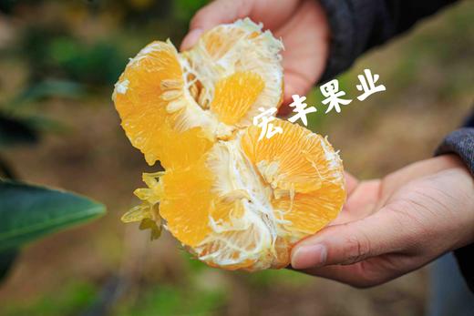 【宏丰精选】富硒稀柚 赣南稀柚 黄金稀柚，纯甜黄金稀柚  活动价79一件 商品图1