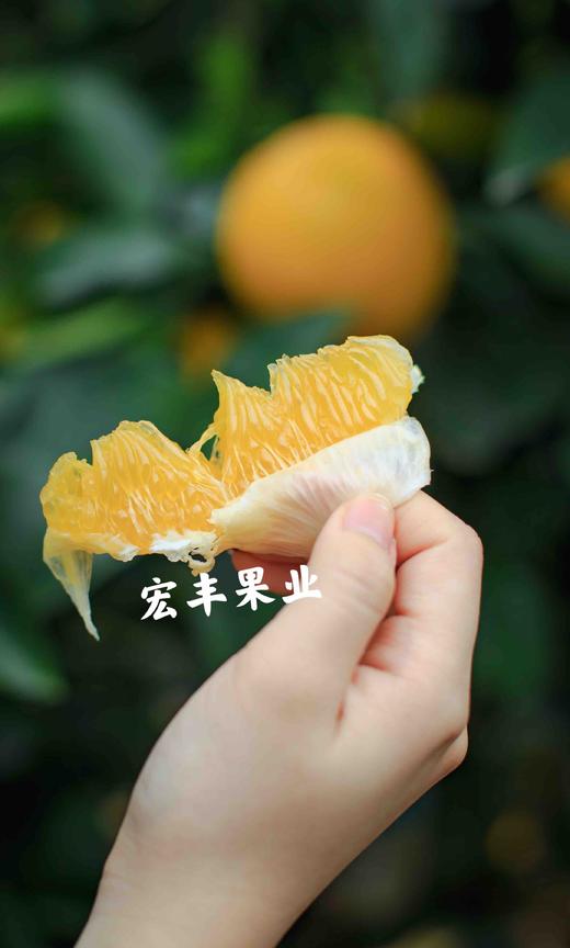 【宏丰精选】富硒稀柚 赣南稀柚 黄金稀柚，纯甜黄金稀柚  活动价79一件 商品图4