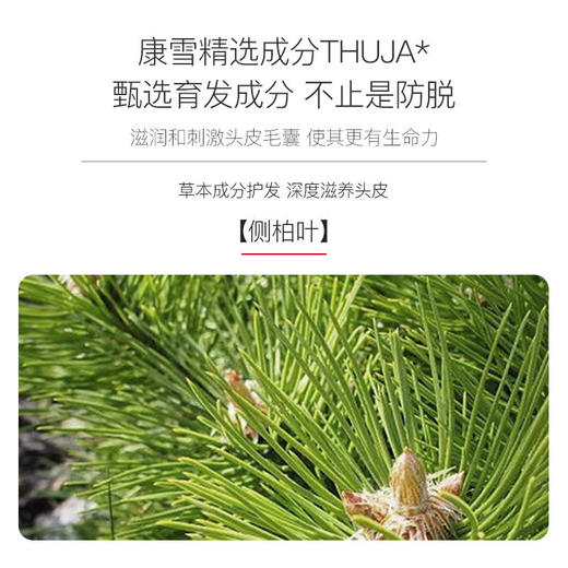 买一送一【荣获育发类国妆特证】特证育发液悦瑾防脱育发液秃头克星草本养发育发捍卫您的发际线！ 商品图3