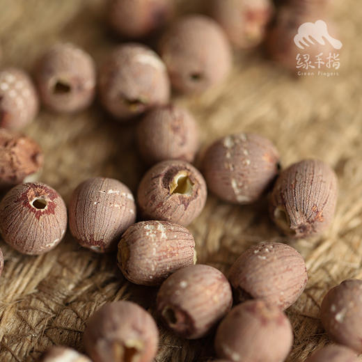 生态莲子 | 合作生产* Eco-lotus seed | Coproduction 商品图4